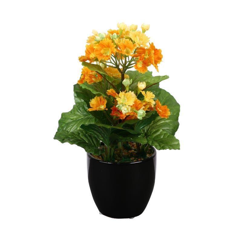 Faux Primula Bonsai In Ceramic Pot (30 cms) - Orange media 3