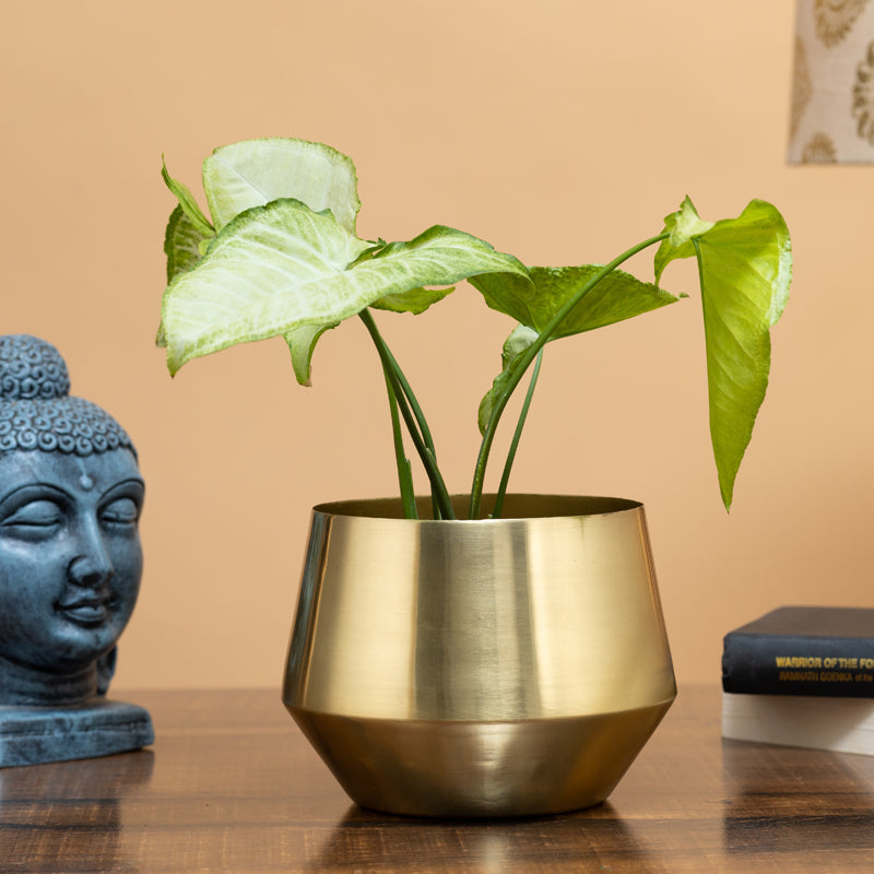 Simone Oak Planter media 2