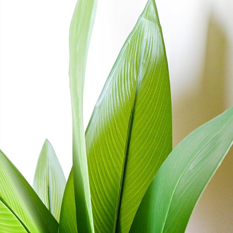 Strelixa Artificial Bird Of Paradise Plant With Basic Black Plastic Pot - 119 cm (4 ft) media 4
