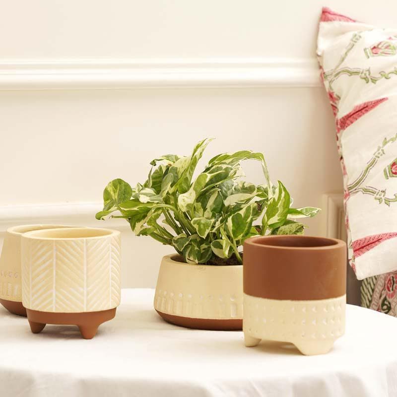 Terazzo Terracotta Planters - Set Of Four media 3