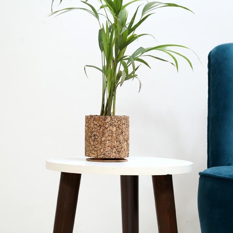 Earthy Haven Planter media 2