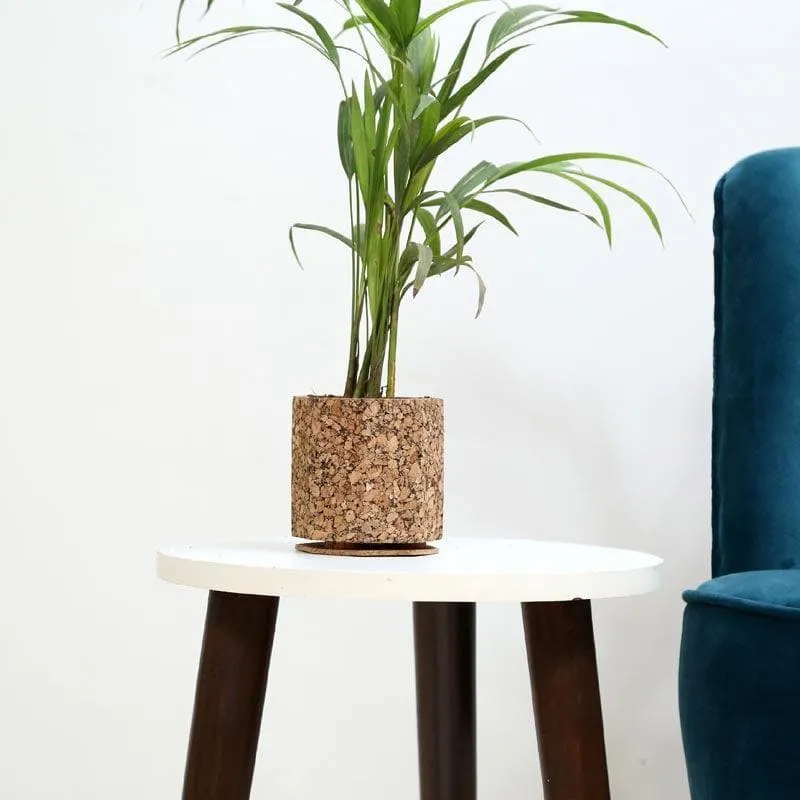 Earthy Haven Planter media 2