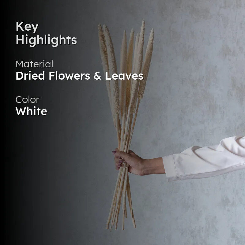 Siva Dried Millet Stick (White) - Set Of Ten media 2