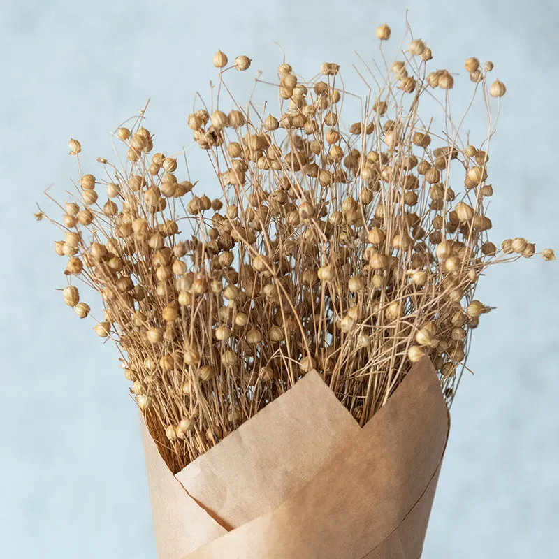 Yinira Naturally Dried Lino Grass media 4