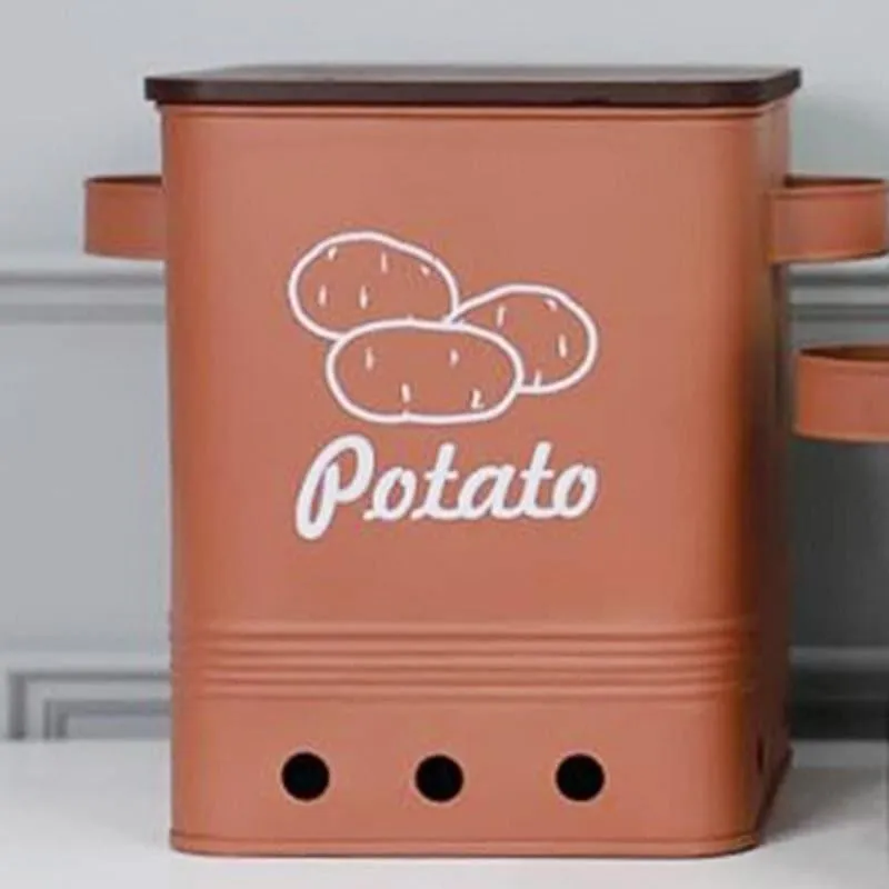 Ferrous Fun Rectangle Potato Iron Container -15 L media 1