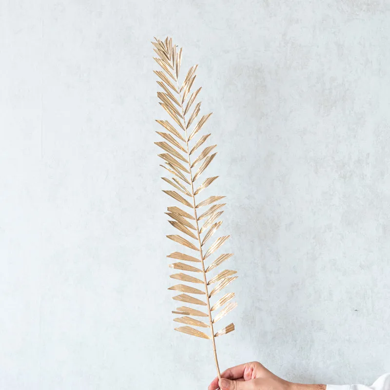 Nihaim Dried Leaf Stem (Beige) - Set Of Five media 5