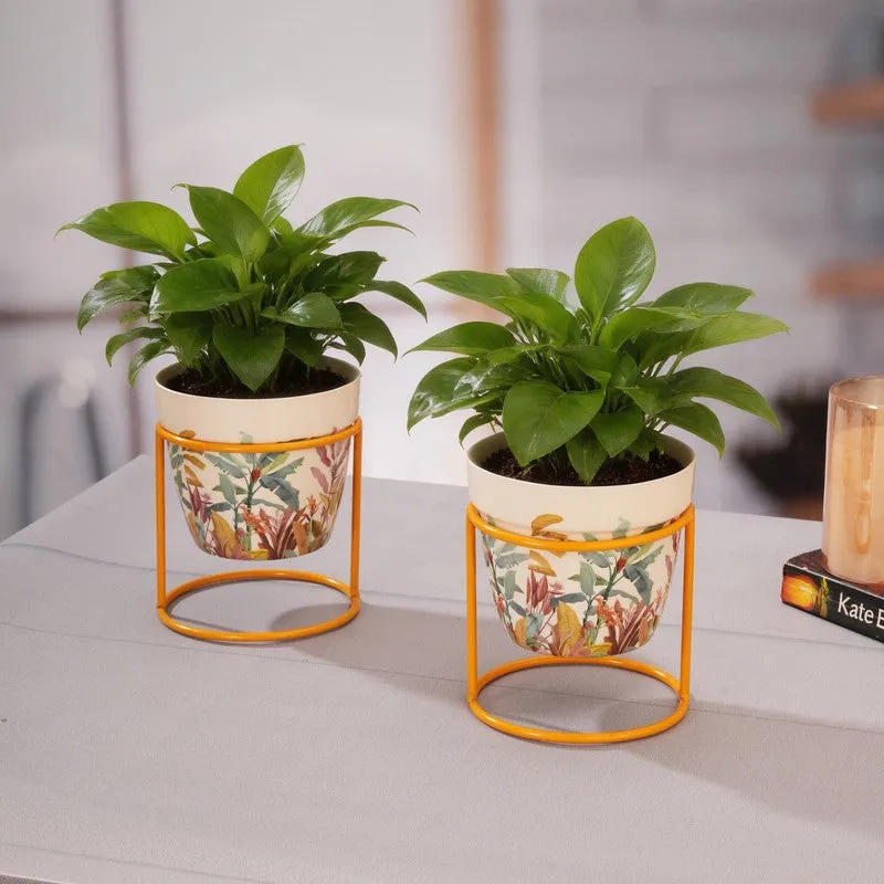 The Planter Nook Metal Planters With Stand - Four Piece Set media 9