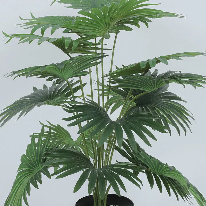 Fanette Artificial Palm With Black Plastic Pot - 2.5 Feet media 5