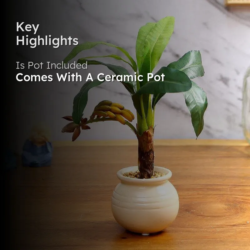 Faux Banana Bonsai In Ceramic Pot (24 cms) - Small media 2