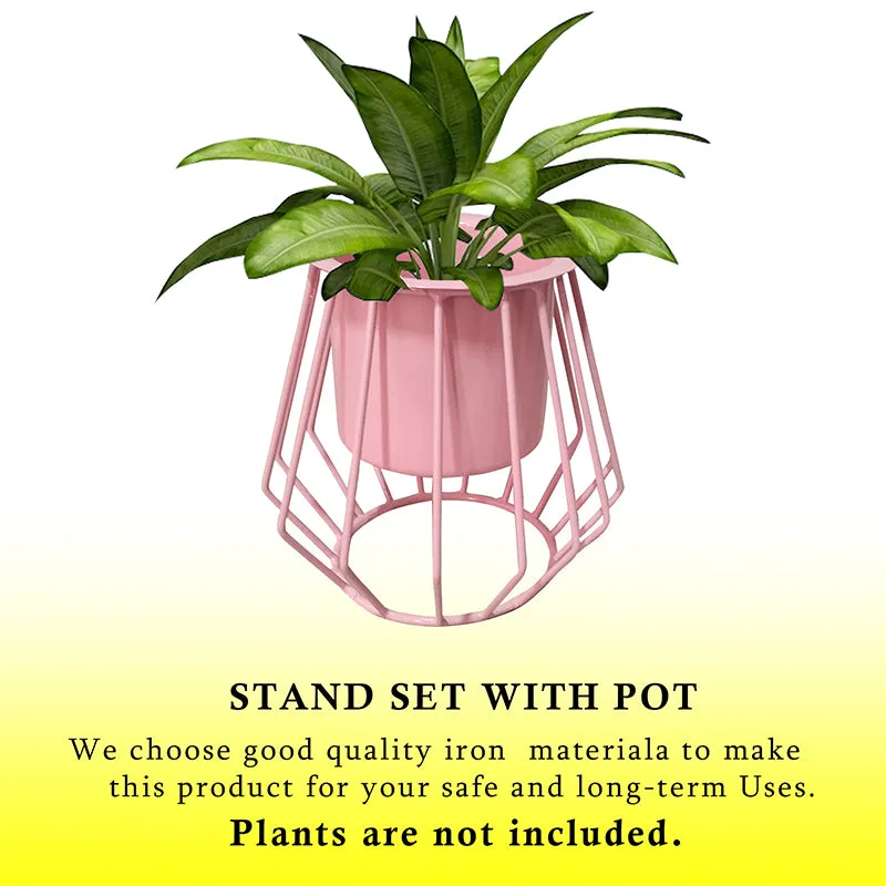 Steela Duo Planter (Pink) - Set Of Two media 5