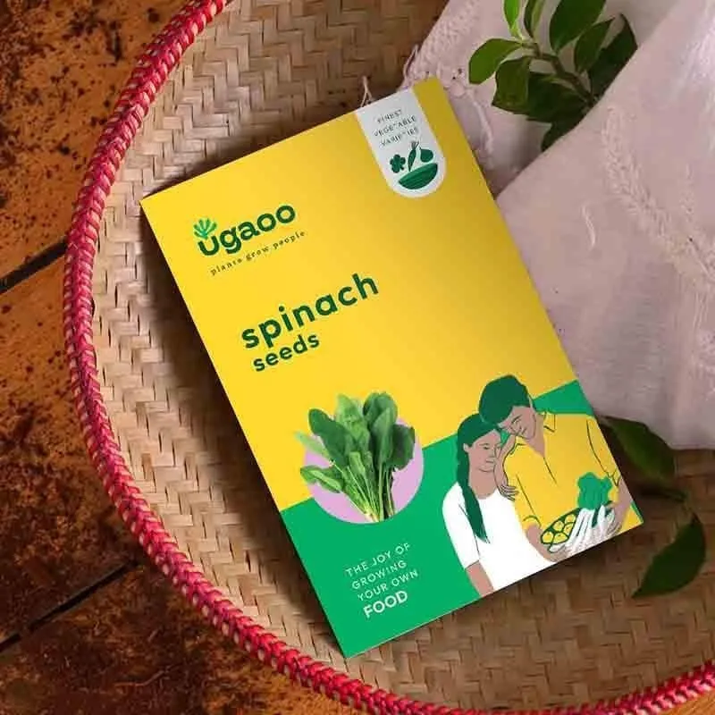 Ugaoo Spinach Seeds (Palak) media 4