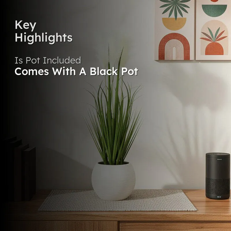 Infinita Artificial Grass Plant With Black Plastic Pot - 2 ft media 2