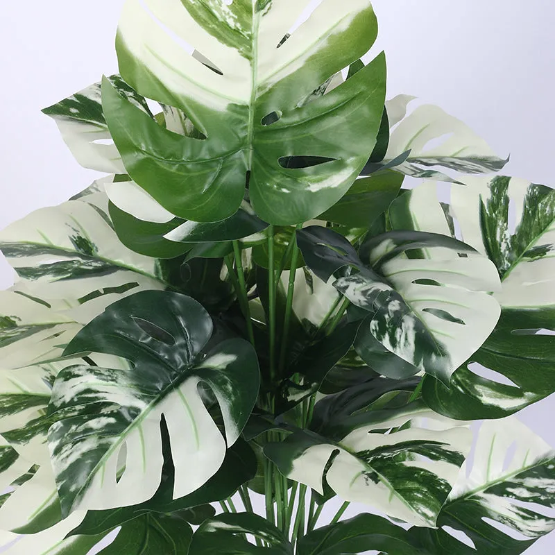Mona Artificial White Monstera With Black Plastic Pot - 2.6 Feet media 4