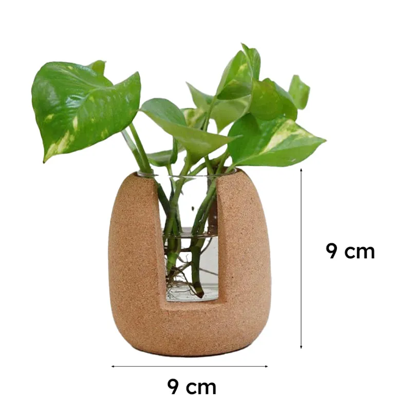 Nadae Cork Testube Planter media 5
