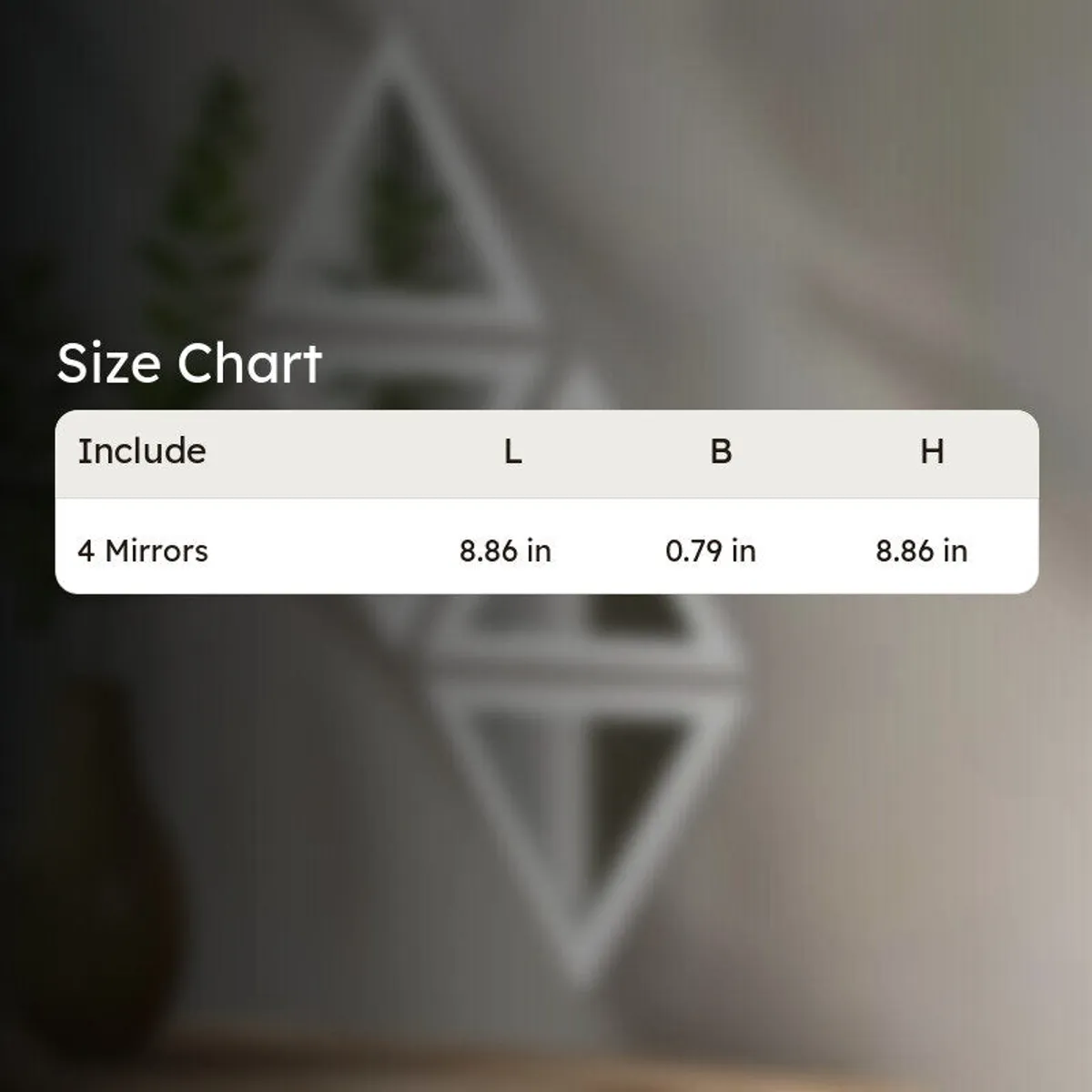 Size chart graphic for the mirror set
