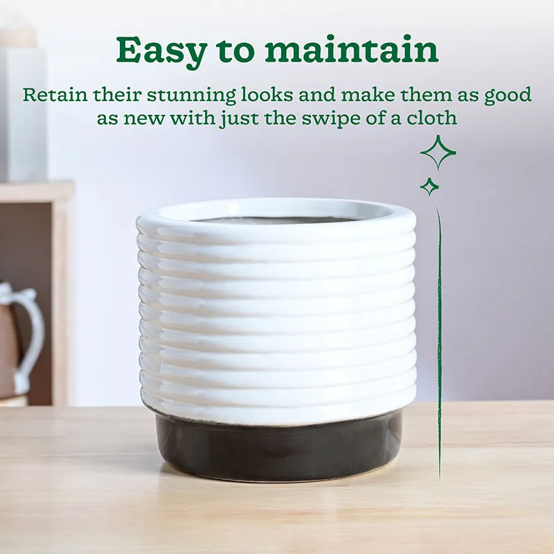 Ugaoo Fern Friend Ceramic Planter - Black media 4