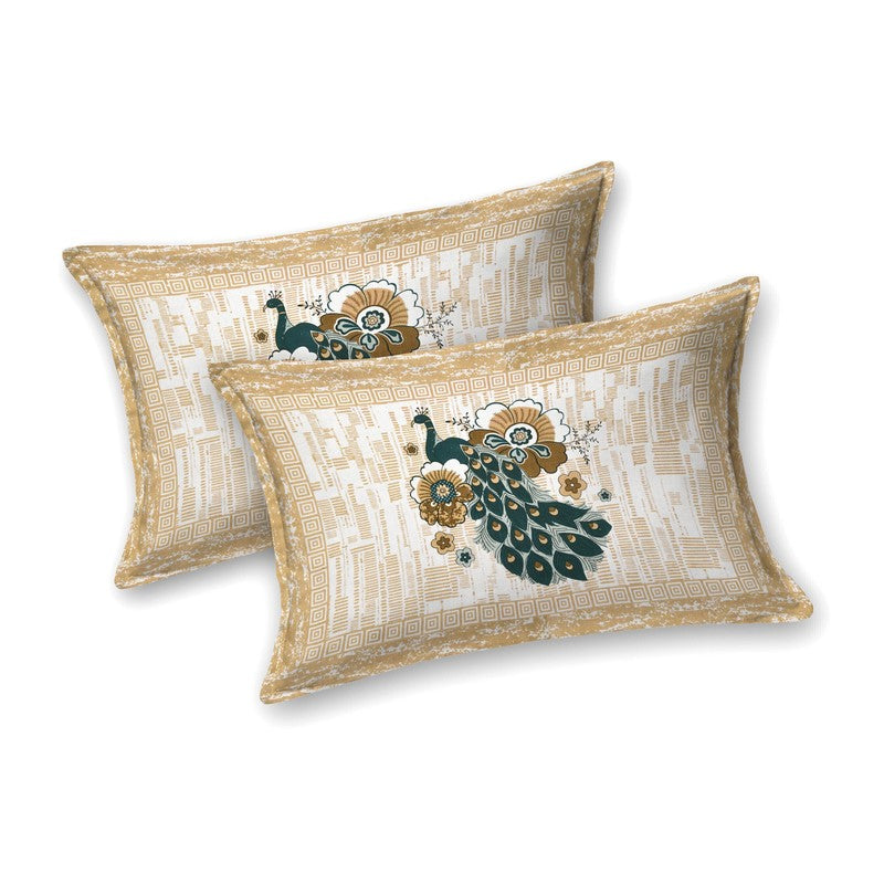 Classicon Cotton Bedsheet (Beige,Green) - 240 TC media 4