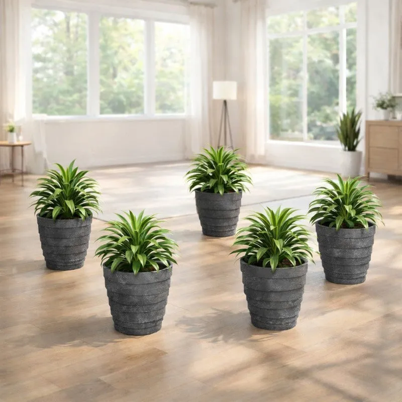 Velora Planters (Grey) - Set Of Five media 5