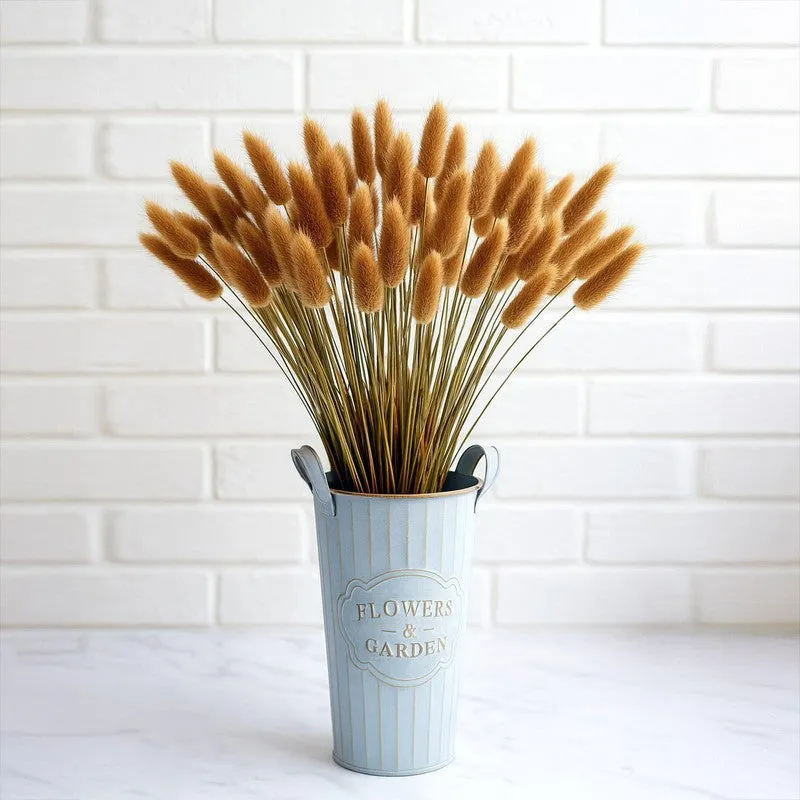 Cloudtail Dried Bunny Tail Stem (Brown) - Set Of Sixty media 1