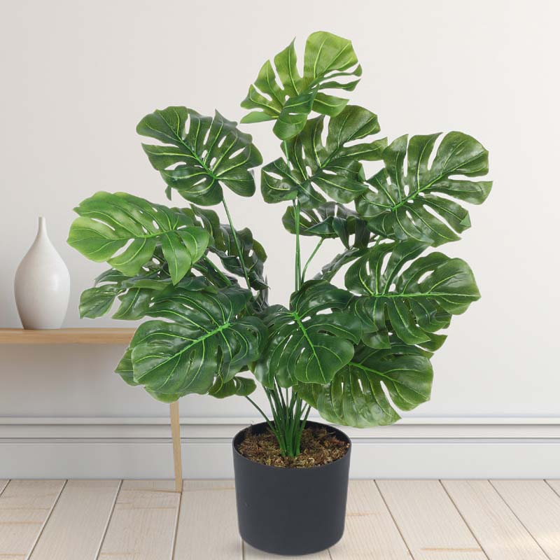 Faux Lush Monstera  Plant With Black Plastic Pot - 2.3 Feet media 3