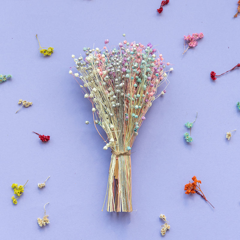 Dried Flowers & Leaves