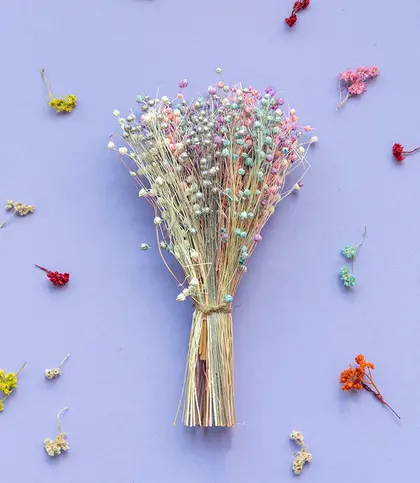 Dried Flowers & Leaves