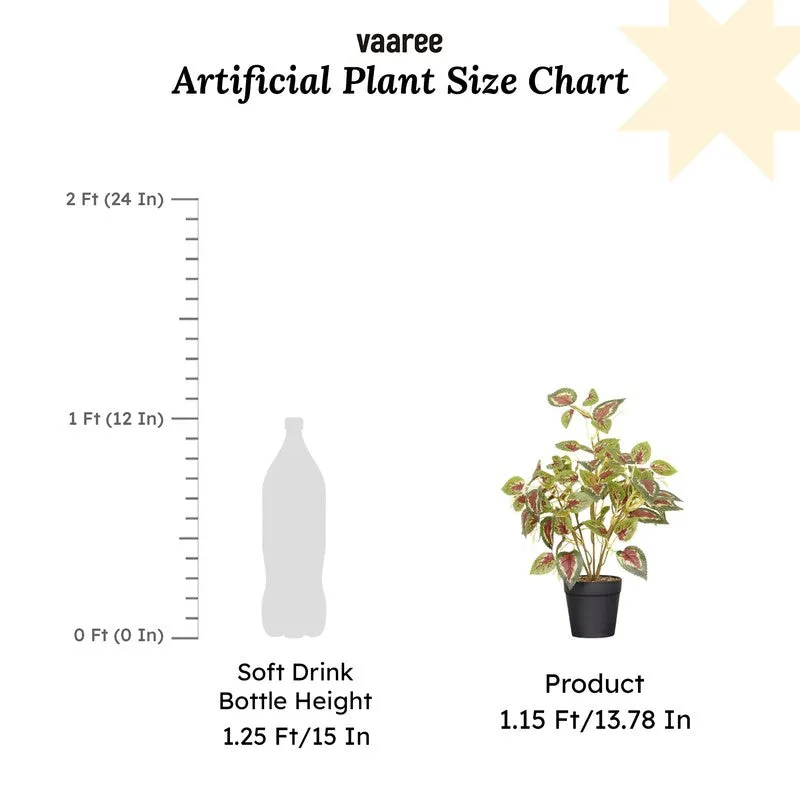 Artificial Coleous plant shown in a room setting beside a round white planter