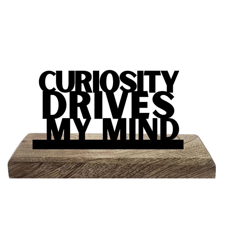 Curious INTP Showpiece - Set Of Two media 3