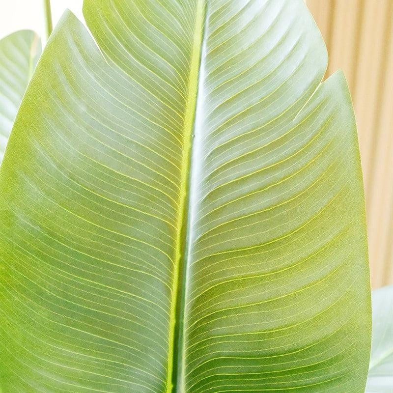 Artificial Banana Tree With Black Plastic Pot - 220 cm (7.2 ft) media 7