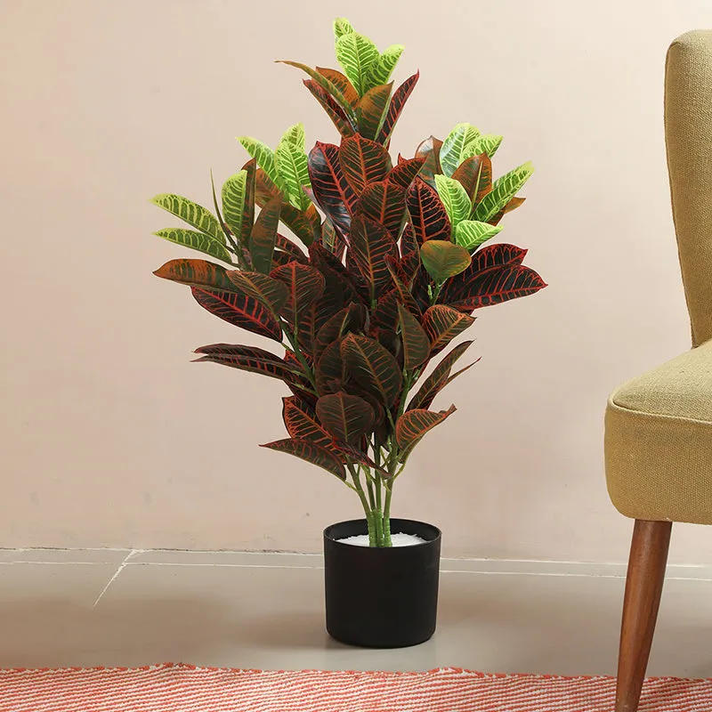 Cindra Artificial Red Croton Plant With Black Plastic Pot - 2.8 Feet media 3