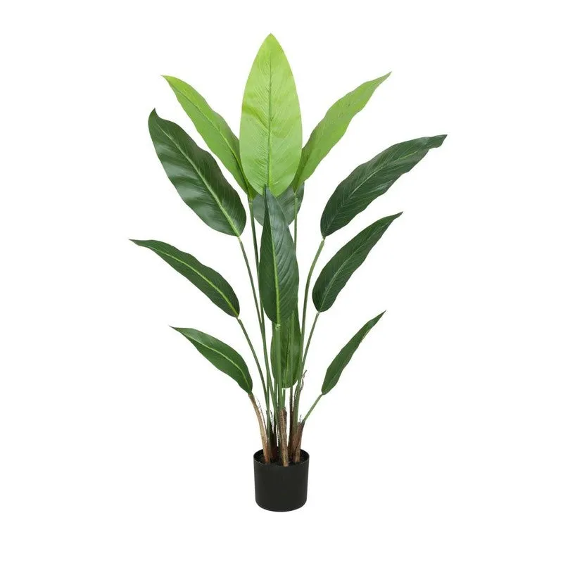 Artificial Strelitzia Plant With Black Fiber Pot - 3.9 Feet media 6