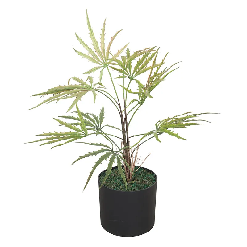Botanic Reverence Artificial Plant With Black Plastic Pot media 3