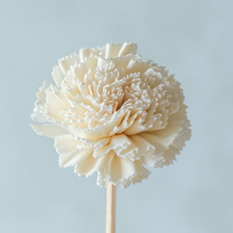 Berta Carnation Sola Flower Stick (White) - Set Of Ten media 4