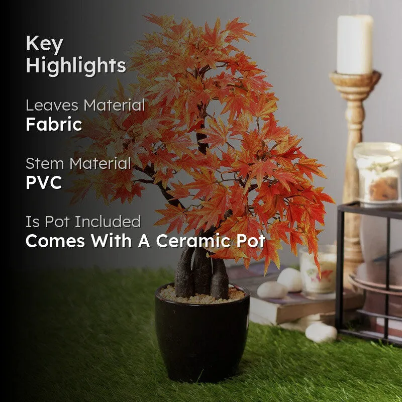 Artificial Orange Maple Bonsai Plant With Ceramic Pot - 1.3 Feet media 2