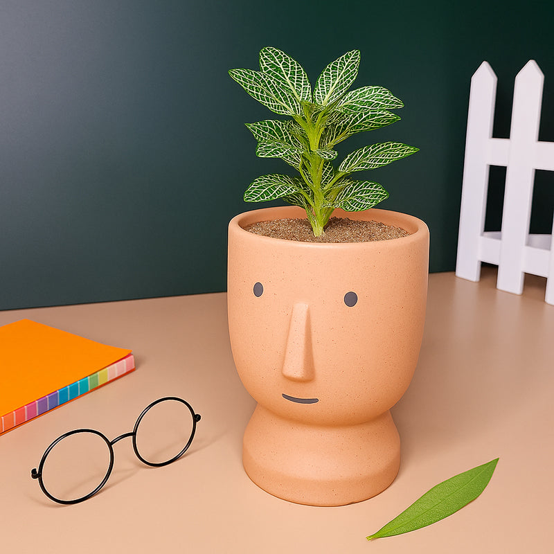 Cheeky Bloom Ceramic Planter - Orange media 7