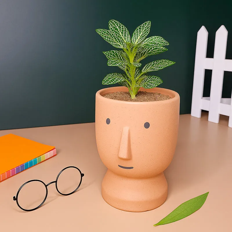 Cheeky Bloom Ceramic Planter - Orange media 7