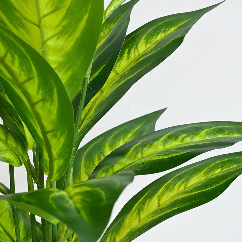 Faux Everlasting Dieffenbachia Amoena Plant With Black Plastic Pot - 71 cm (2.3 ft) media 4