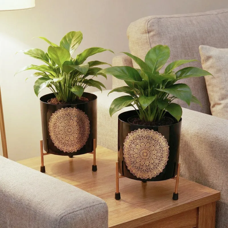 Root & Reside Metal Planters With Stand - Four Piece Set media 8