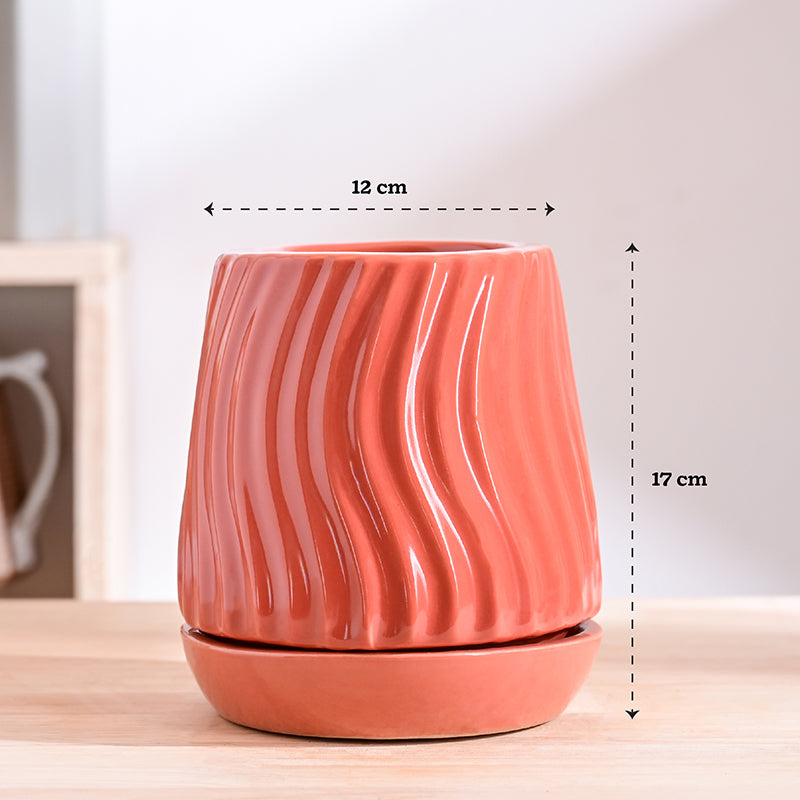 Ugaoo Waves & Roots Ceramic Planter - Coral media 8