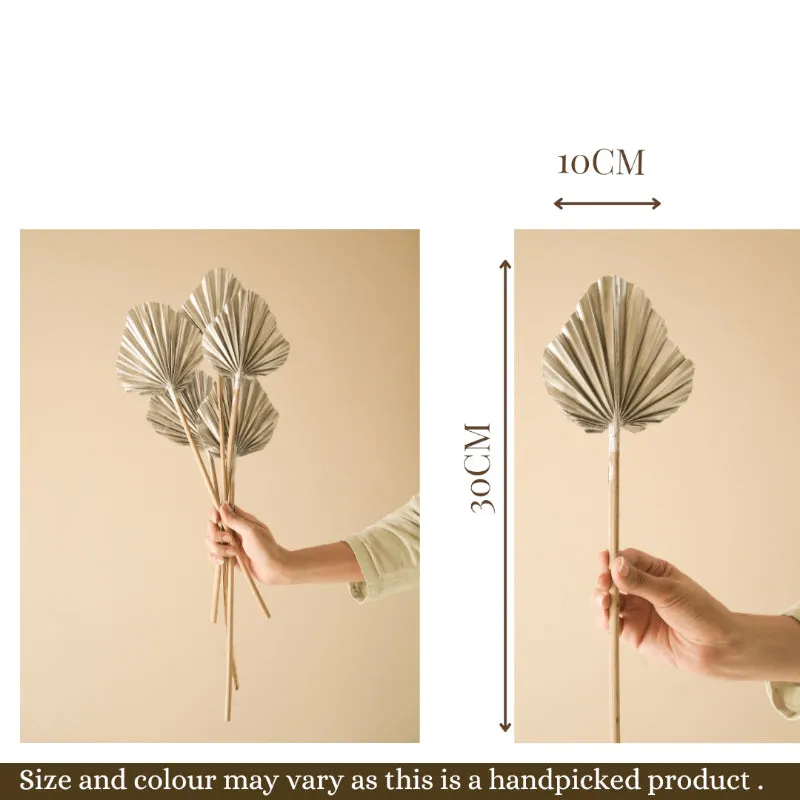 Dried Round Palm Leaf Stem - Set Of Five media 5