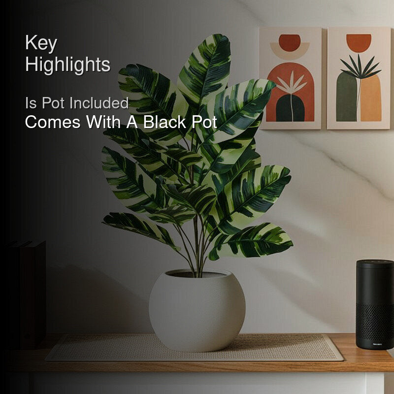 Faux Everlasting Fiddle Fig Plant With Black Plastic Pot - 79 cm (2.6 ft) media 2