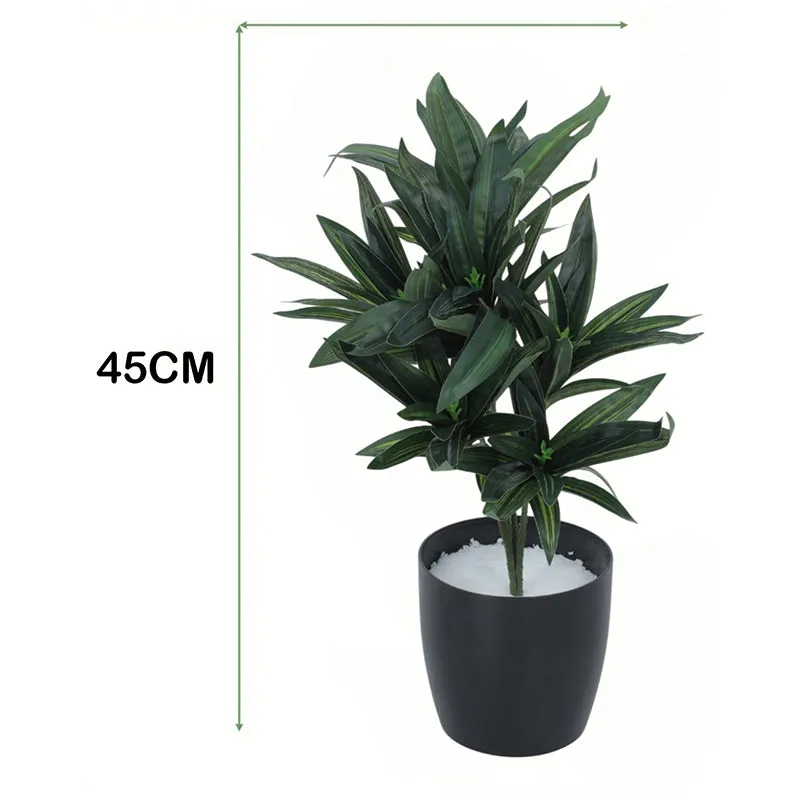Edena Artificial Dracaena Plant With Black Plastic Pot - 1.3 Feet media 5