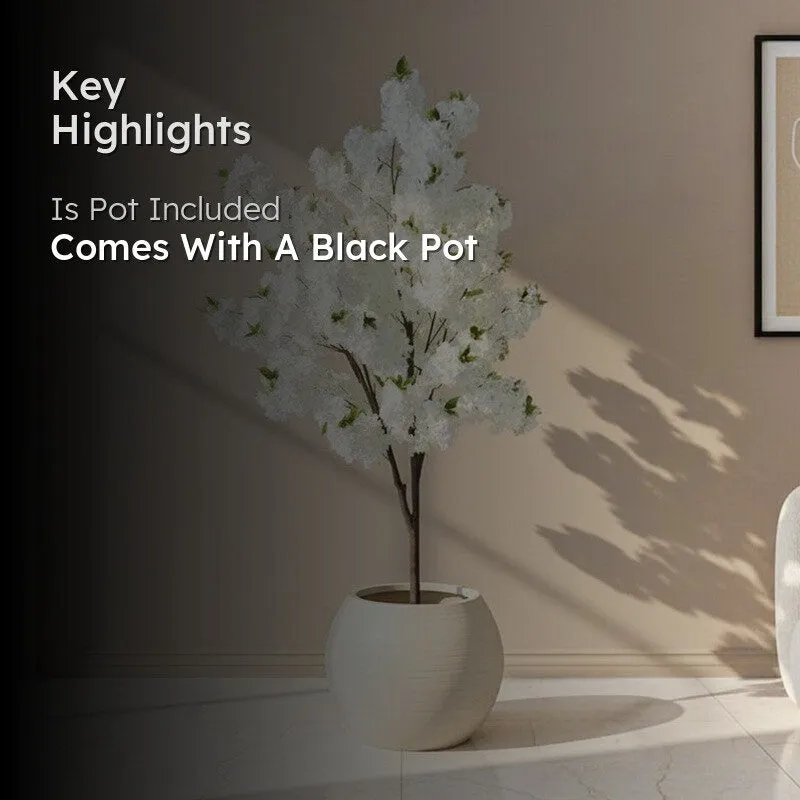 Faux Cotton Plant With Black Plastic Pot - 5.25 ft media 2