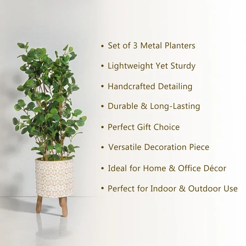 Eden Metal Planters - Set Of Three media 6