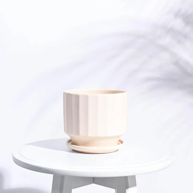 Lexie Ceramic Planter - Ivory media 4