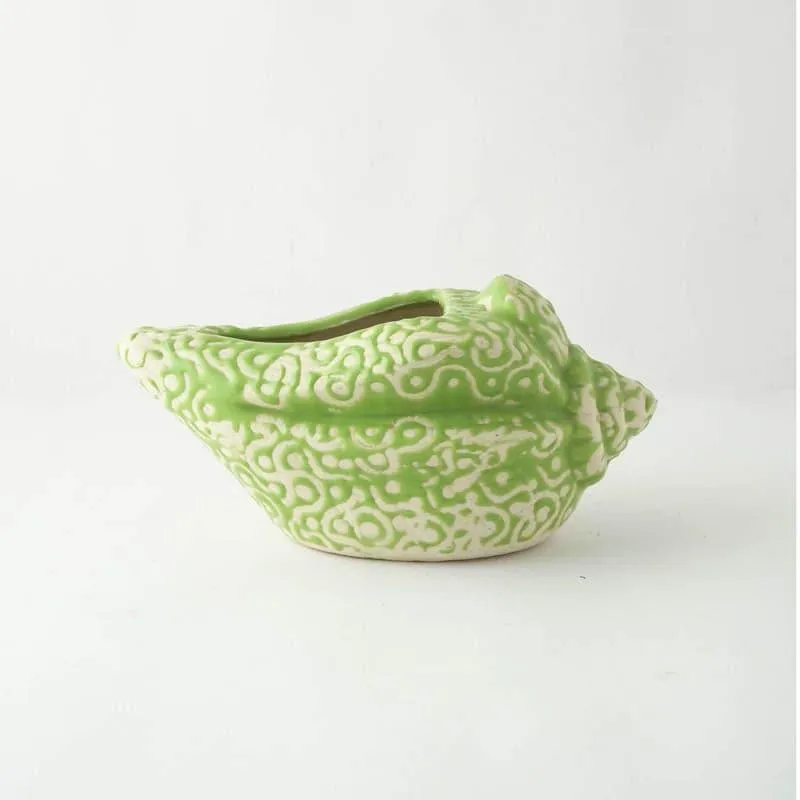 Sea Shell Planter - Green media 5