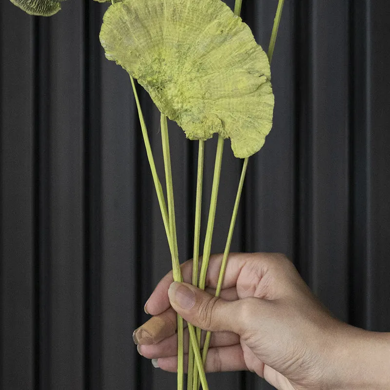 Jungle Weave Green Sponge Stick - Set Of Ten media 3