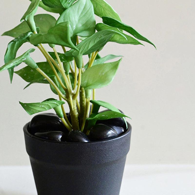 Moniva Artificial Pothos/Money Plant With Black Plastic Pot (Green) - 19 cm media 4