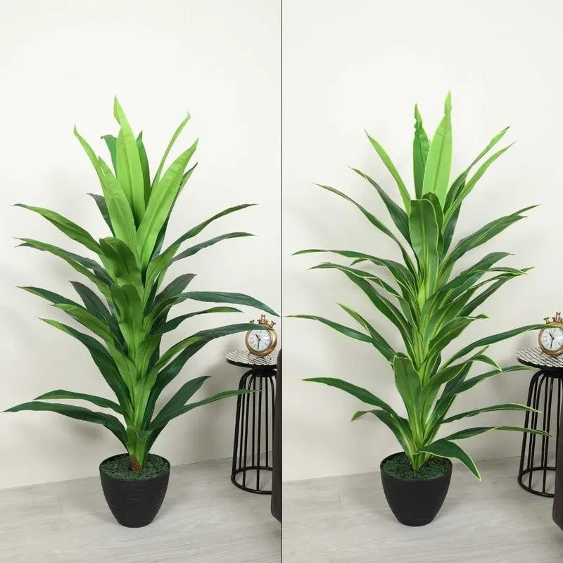 Everlyn Artificial Dracaena Plant With Black Fiber Pot - 4.6 Feet media 4