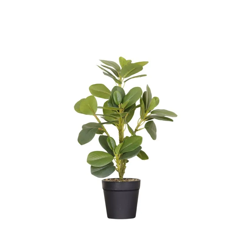 Artificial White Quercus Leaf Small Plant With Black Fiber Pot - 1 Feet media 4